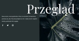 Przegląd Projektu - Przeciągnij I Upuść Szablon Jednej Strony