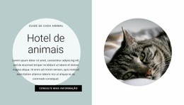 Casa Para Nossos Amigos - Modelo HTML5 Pronto Para Usar