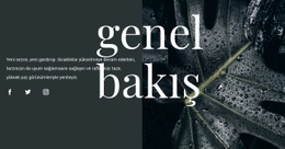 Tasarıma Genel Bakış - HTML5 Şablonu