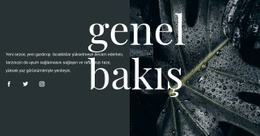 Tasarıma Genel Bakış - Açılış Sayfası