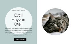 Arkadaşlarımız Için Ev #Wordpress-Themes-Tr-Seo-One-Item-Suffix