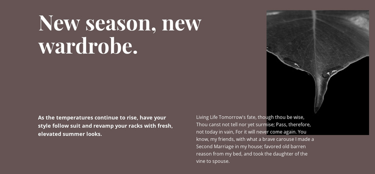 New season new wardrobe Website Template