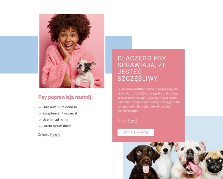 Dlaczego psy cię uszczęśliwiają Projekt strony internetowej