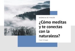 Meditaciones De La Naturaleza: Crear Una Maqueta De Página Web