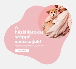 A Háziállatokat Széppé Varázsoljuk Ingyenes CSS Webhelysablon