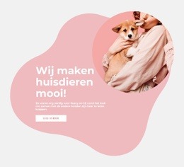 Wij Maken Huisdieren Mooi Dierenkliniek