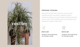 Rostliny A Přírodní Detaily – Stažení Šablony Webu
