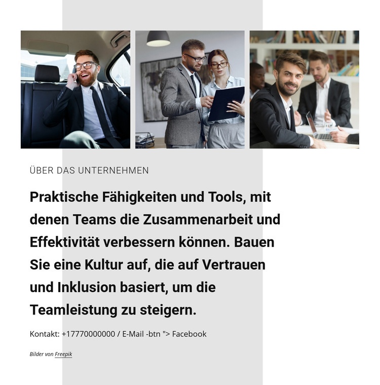 Zusammenarbeit für Unternehmen Website-Modell