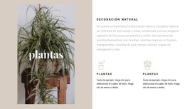 Plantas Y Detalles Naturales - Arrastrar Y Soltar Una Plantilla De Página