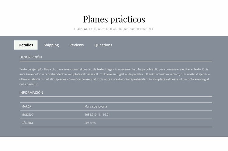 Planes practicos Plantilla de sitio web