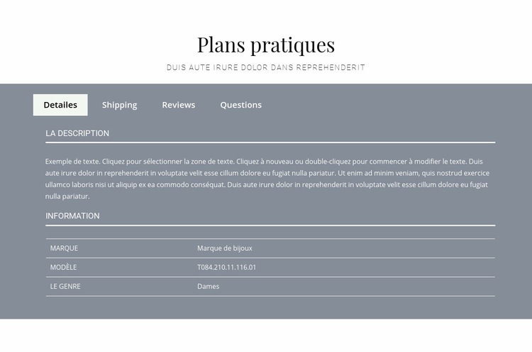 Plans pratiques Maquette de site Web