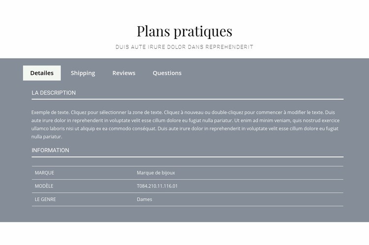 Plans pratiques Modèle de site Web