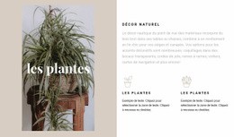 Plantes Et Détails Naturels - Glisser-Déposer Un Modèle De Page