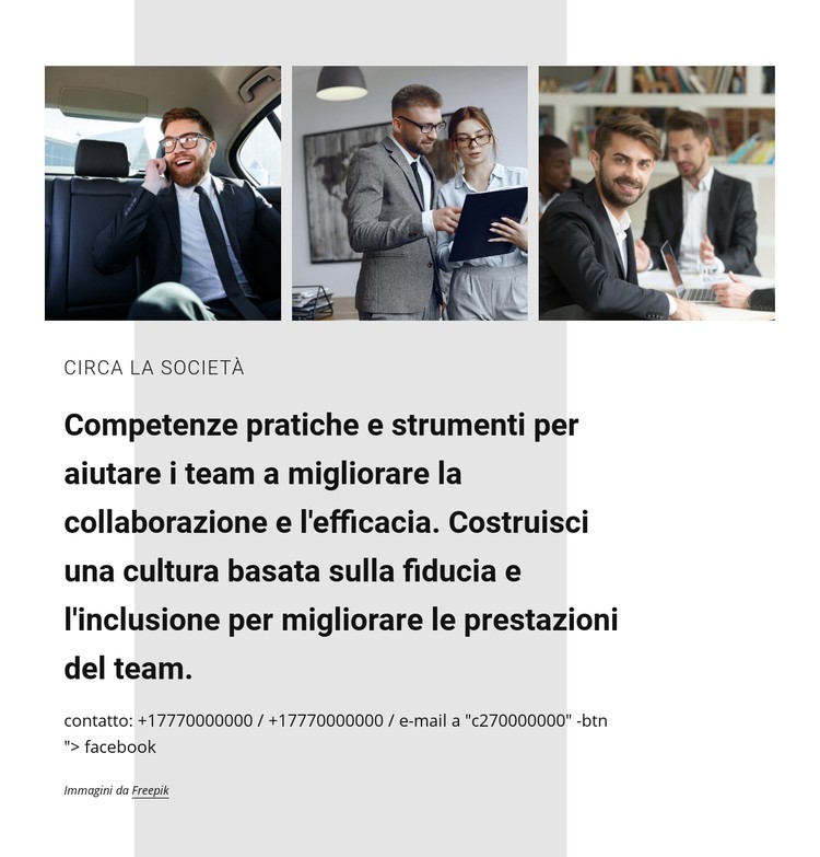 Collaborazione per il business Modello CSS