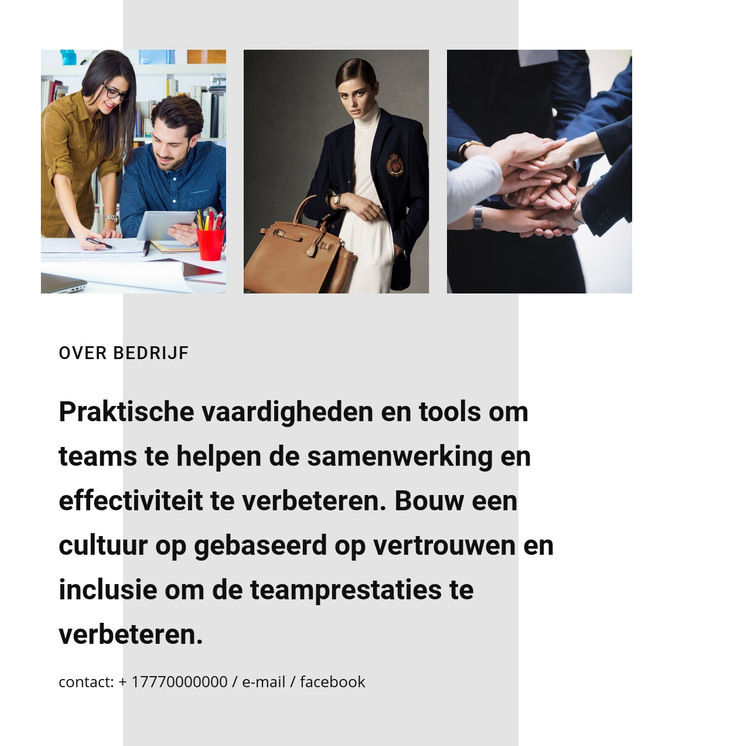 Samenwerking voor bedrijven Html Website Builder