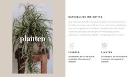 Planten En Natuurlijke Details - Één Paginasjabloon Slepen En Neerzetten
