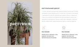 Растения И Природные Детали – Шаблон HTML-Страницы