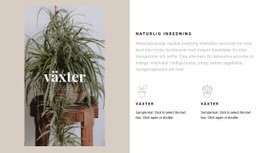 Växter Och Naturliga Detaljer - Nedladdning Av Webbplatsmall