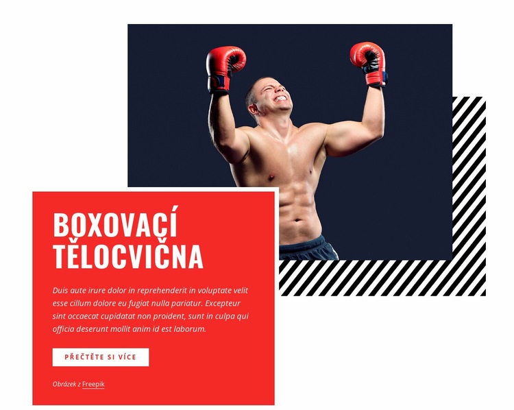 Boxovací tělocvična Webový design