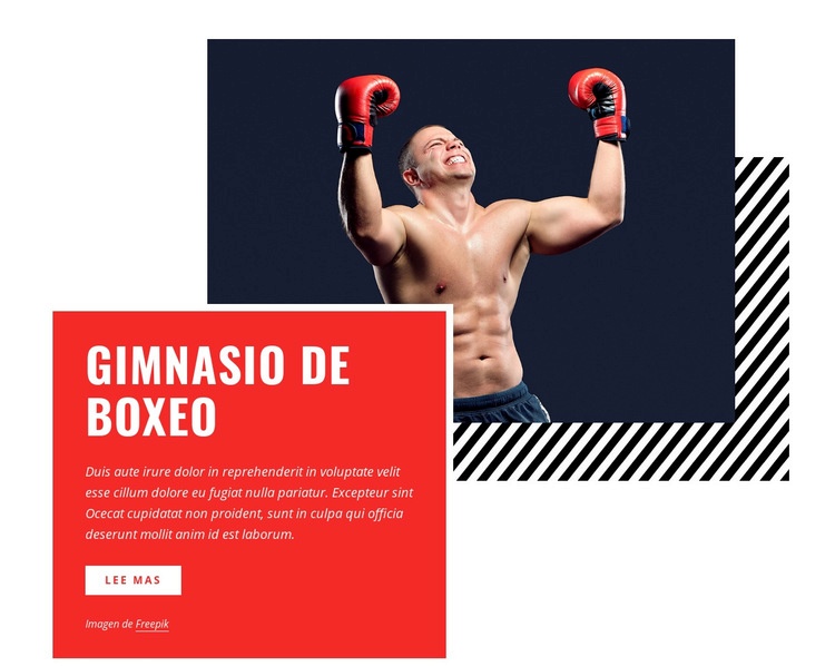 Gimnasio de boxeo Maqueta de sitio web