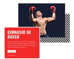 Gimnasio De Boxeo: Página De Destino Creativa Multipropósito