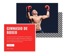 Gimnasio De Boxeo Sitio Web Gratuito