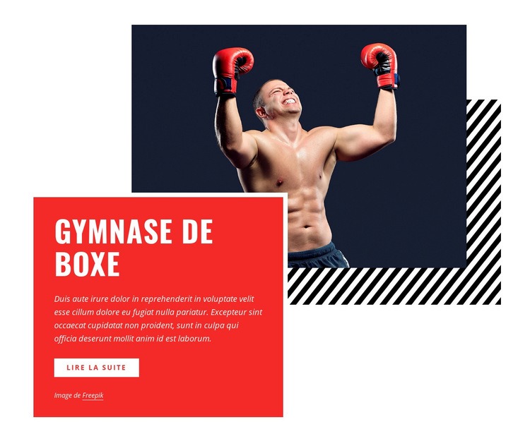 Gymnase de boxe Maquette de site Web