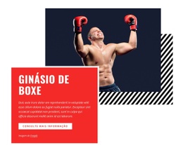 Ginásio De Boxe - Modelo Pessoal
