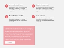 Texto Con Iconos - Diseño De Sitio Web Personalizado