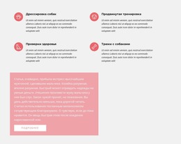 Текст С Иконками — Премиум-Шаблон Joomla