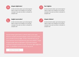 Simgeler Içeren Metin