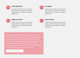 Simgeler Içeren Metin