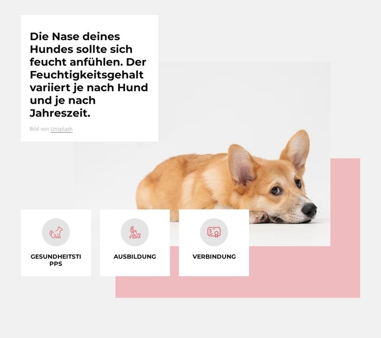 Einzigartiges Hundezentrum Eine Seitenvorlage