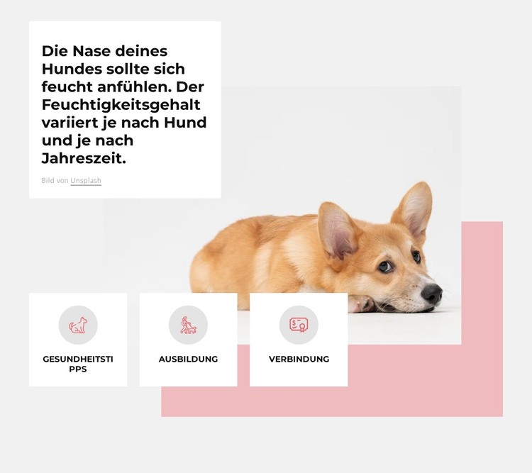 Einzigartiges Hundezentrum HTML-Vorlage