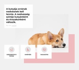 Egyedi Kutyaközpont - Egyszerű Webhelysablon