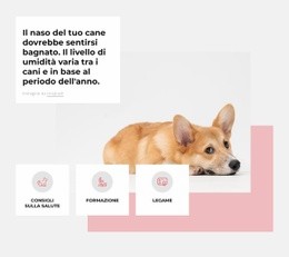 Centro Per Cani Unico: Generatore Di Siti Web Facile Da Usare