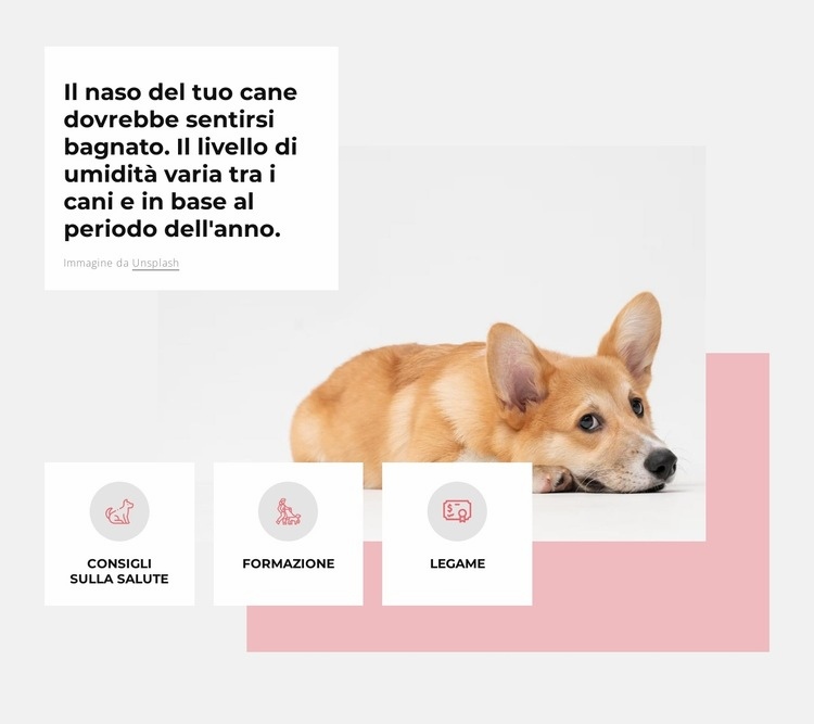 Centro per cani unico Costruttore di siti web HTML