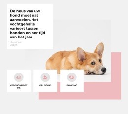 Uniek Hondencentrum - Websitemodel Met Slepen En Neerzetten