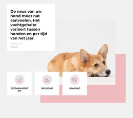Uniek Hondencentrum - Websitesjabloon Downloaden