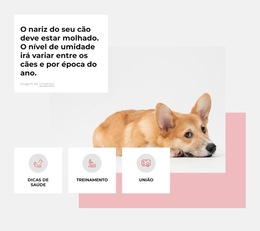 Centro Exclusivo Para Cães - Modelo De Site Simples