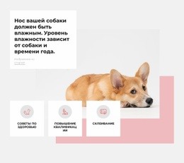 Уникальный Собачий Центр. – HTML-Шаблон