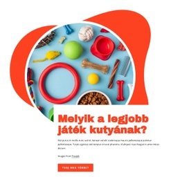 A Legjobb Játékok Kutyáknak - Egyszerű Webhelytervezés