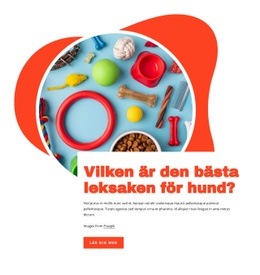 Bästa Leksakerna För Hundar