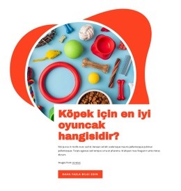 Köpekler Için En Iyi Oyuncaklar Şablon