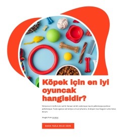 Köpekler Için En Iyi Oyuncaklar - Özelleştirilebilir Profesyonel Tek Sayfalık Şablon