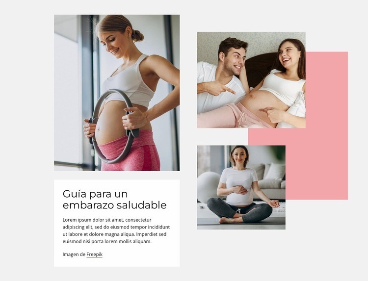 Guía para un embarazo saludable Diseño de páginas web