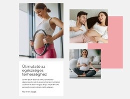 Útmutató Az Egészséges Terhességhez – Weboldal Tervezés