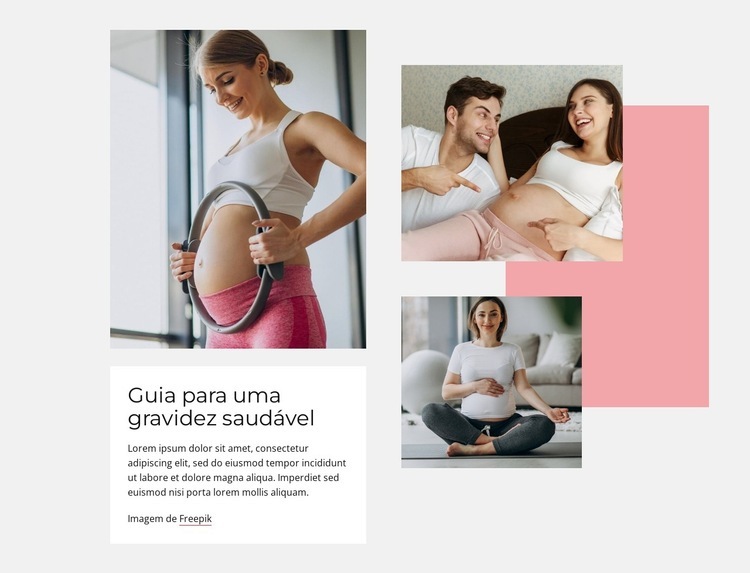 Guia para uma gravidez saudável Maquete do site