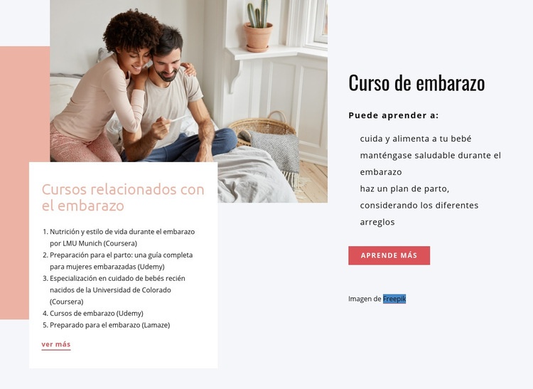 Cursos de embarazo Diseño de páginas web