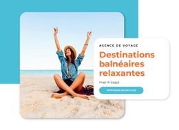 Destinations Balnéaires Relaxantes : Modèle Créatif Polyvalent D'Une Page